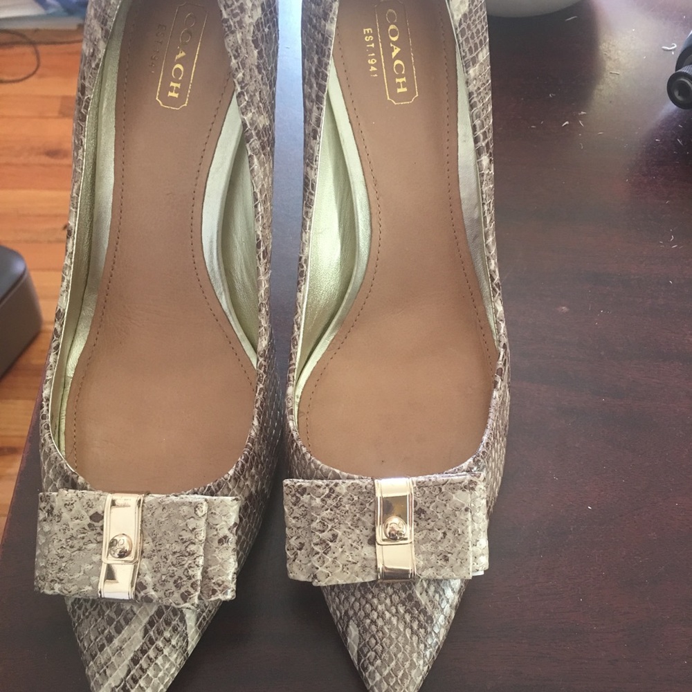 Snakeskin Coach Heels